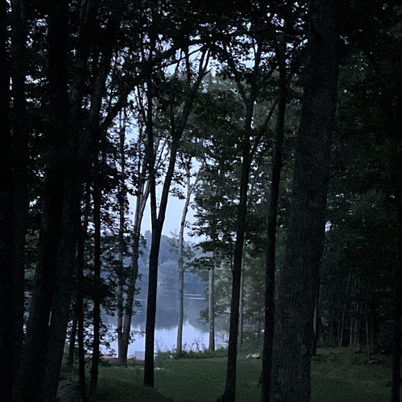 Meet your Posher, Laura - Picture 8 of 16